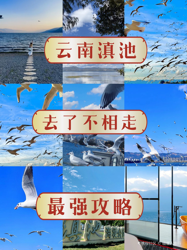 云南滇池亲子游真的是一次非常棒的体验_古滇精品湿地公园攻略