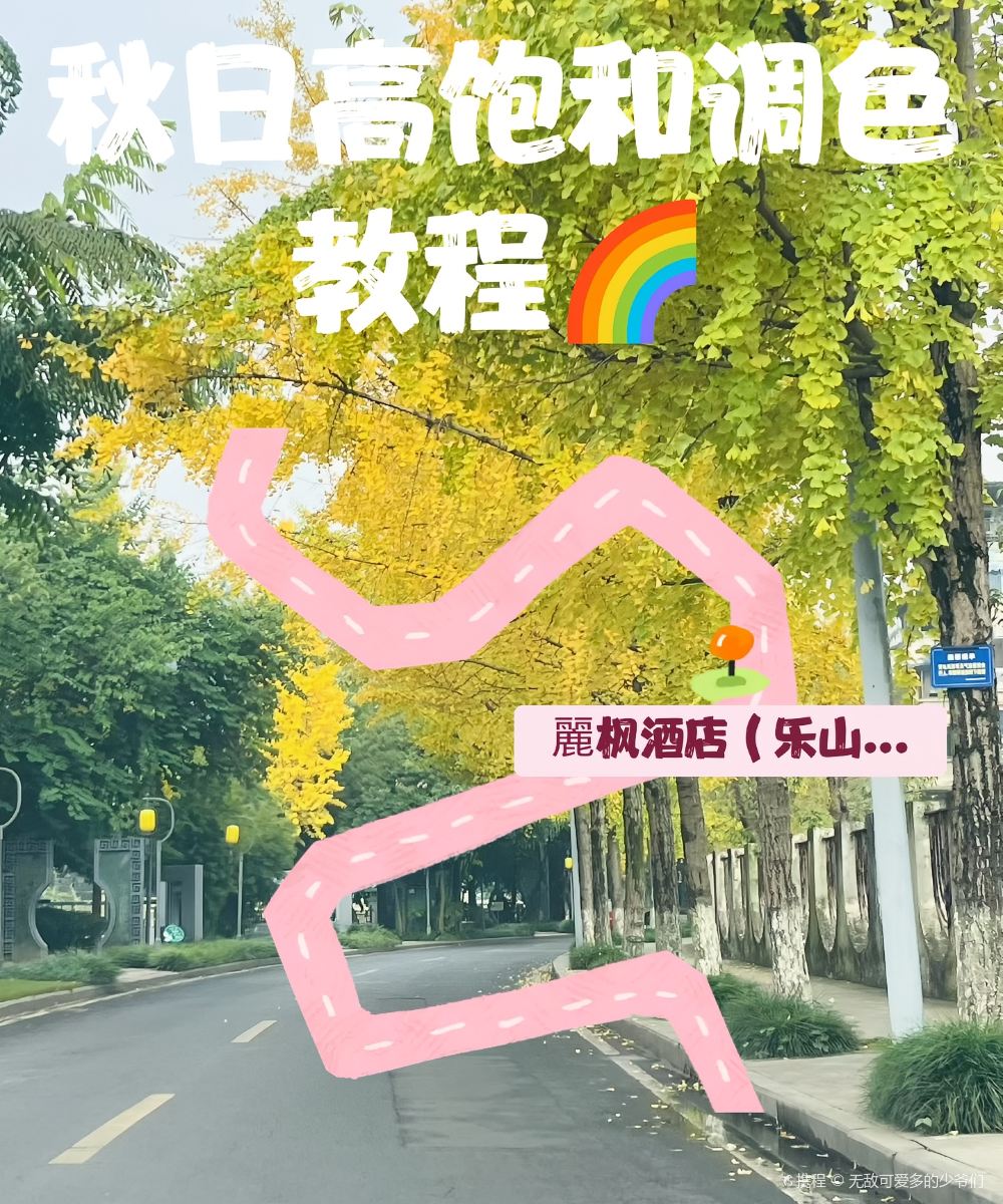 麗枫酒店(乐山市政府店)图片