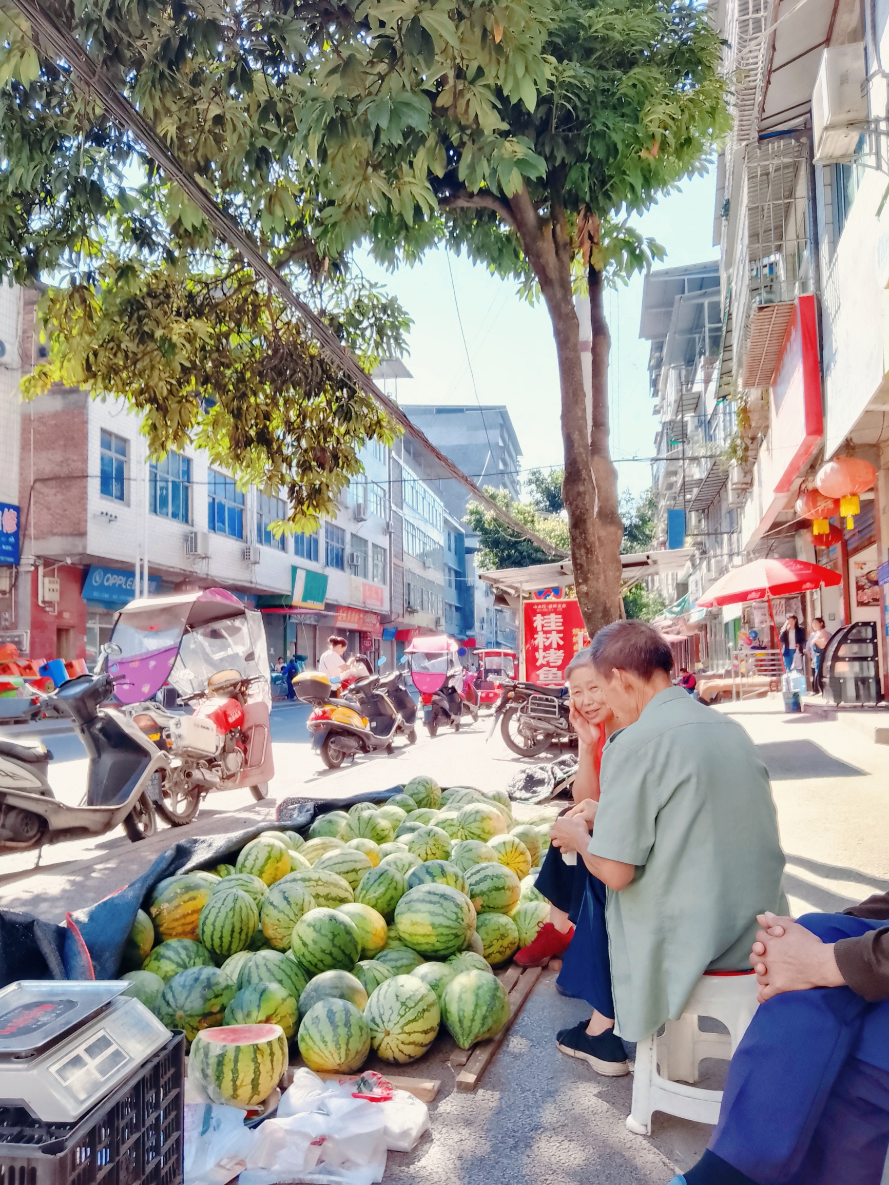 小镇的山与海，在民胜的初秋