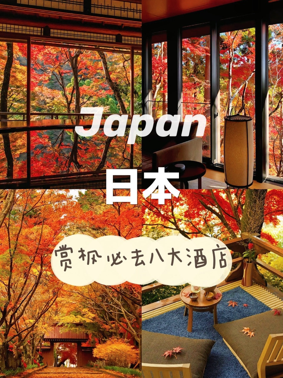 日本8家神仙赏枫酒店🍁一家比一家美❗