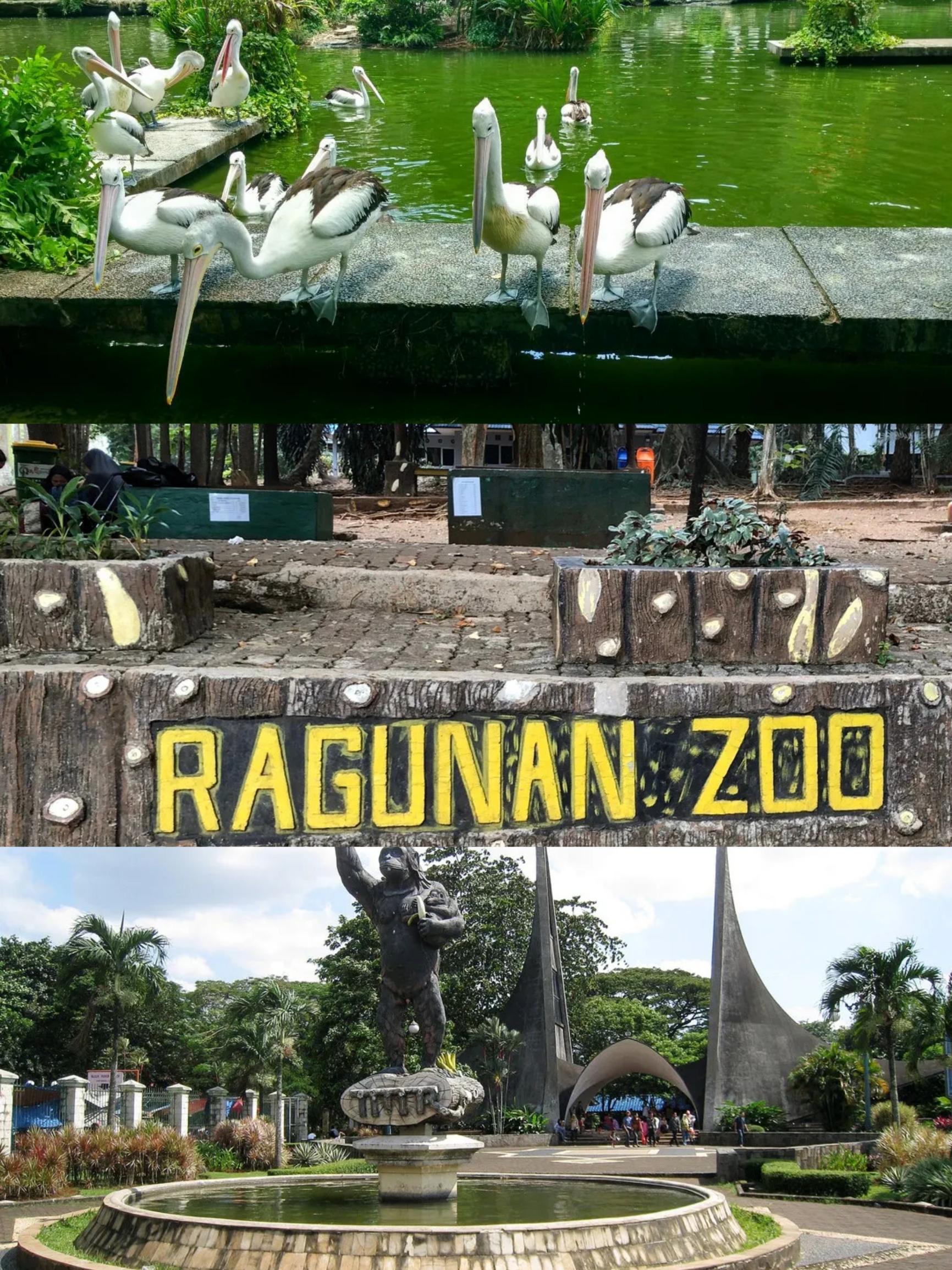 这是一个坐落于雅加达东部的动物园，区域非常大。是一个能跟家人消遣娱乐的好地方。  但是我建议你不要在