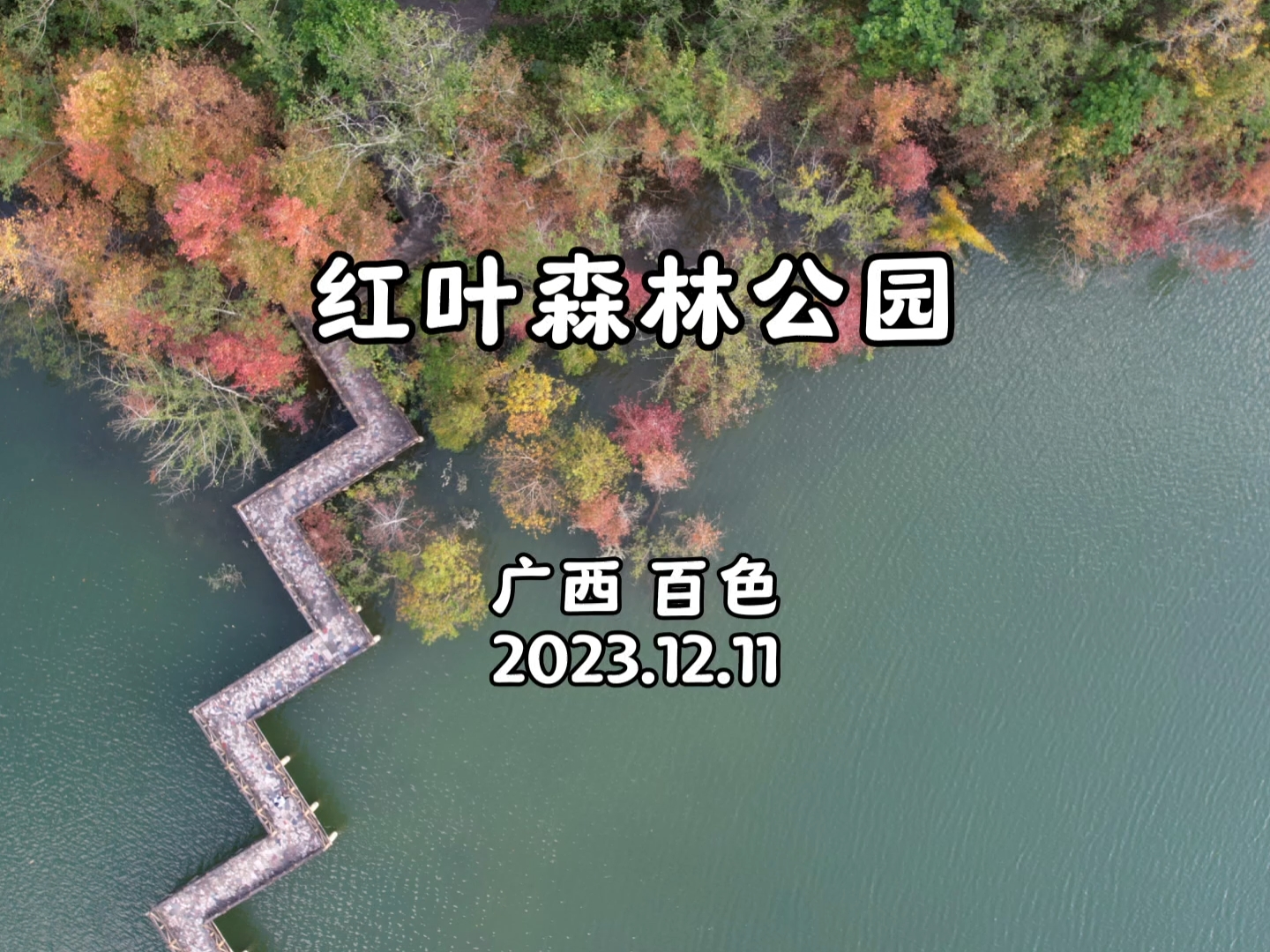 桂粤自驾游-原创旅拍小视频（10）红叶森林公园