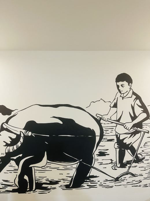 Gallery 4