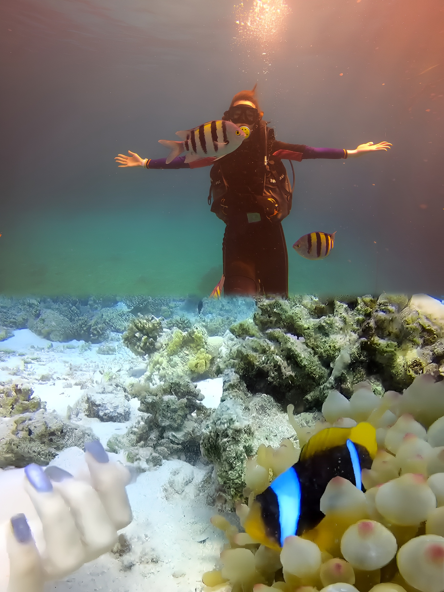 Star Fish Restaurant餐厅图片