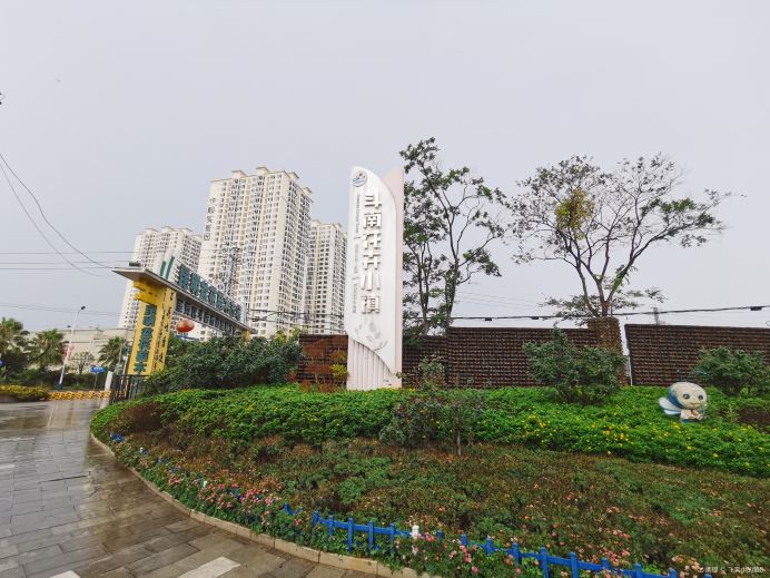 斗南花卉小镇