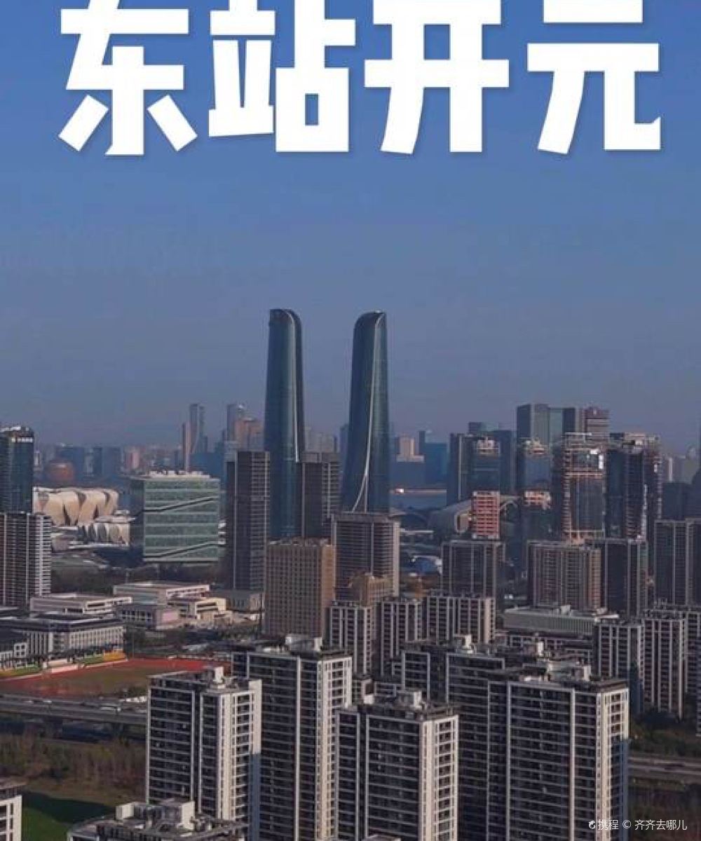 杭州东站开元名庭酒店图片