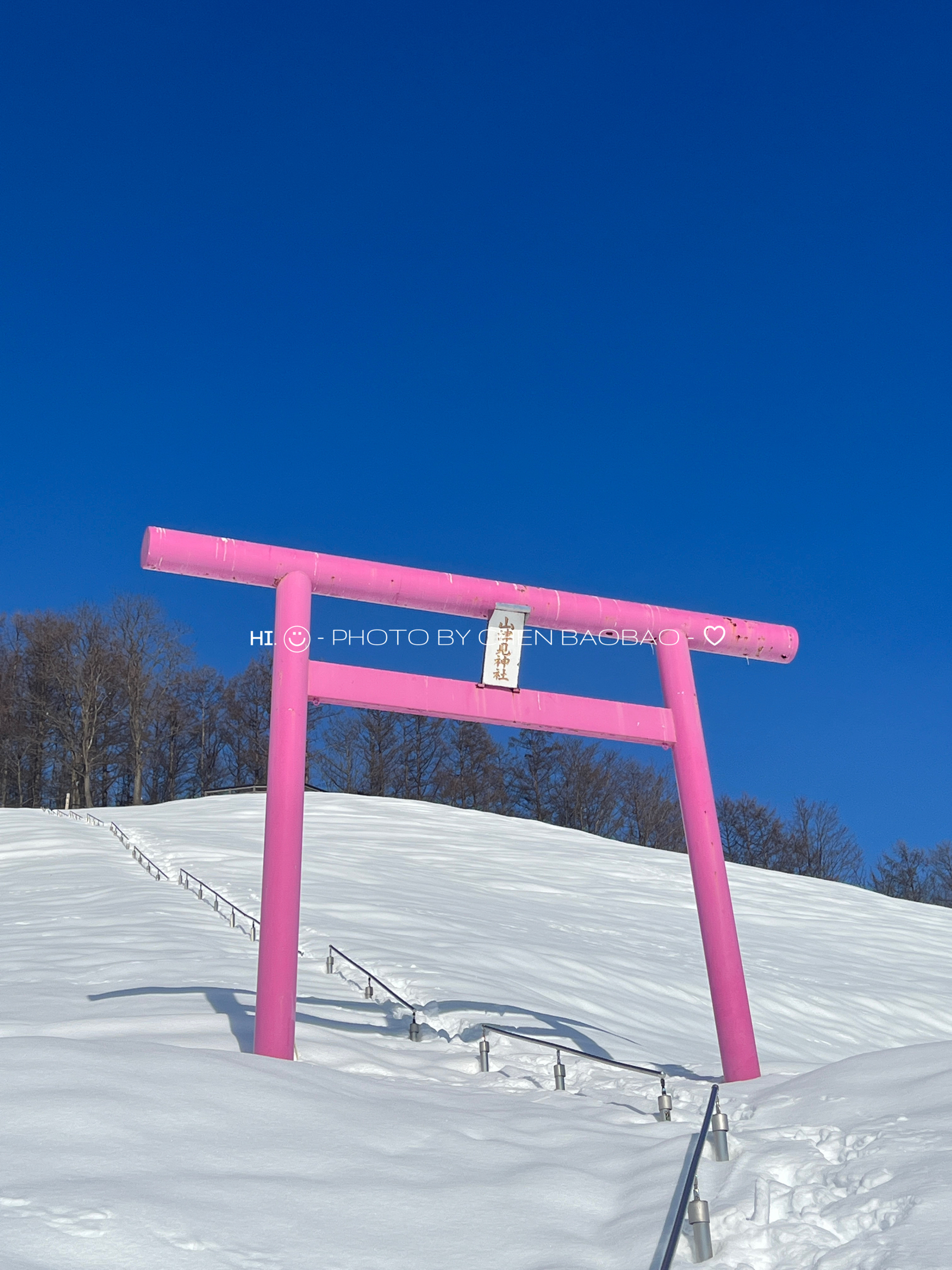 北海道 纷纷惹人爱💓仙女的粉色鸟居⛩️
