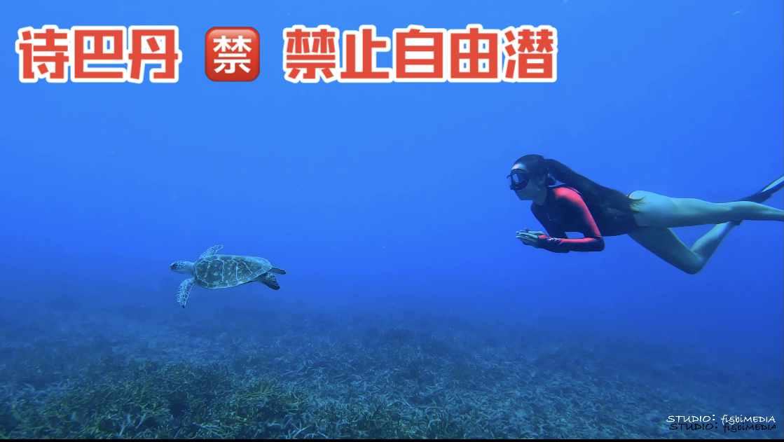 刚刚发布：马来西亚诗巴丹禁止自由潜