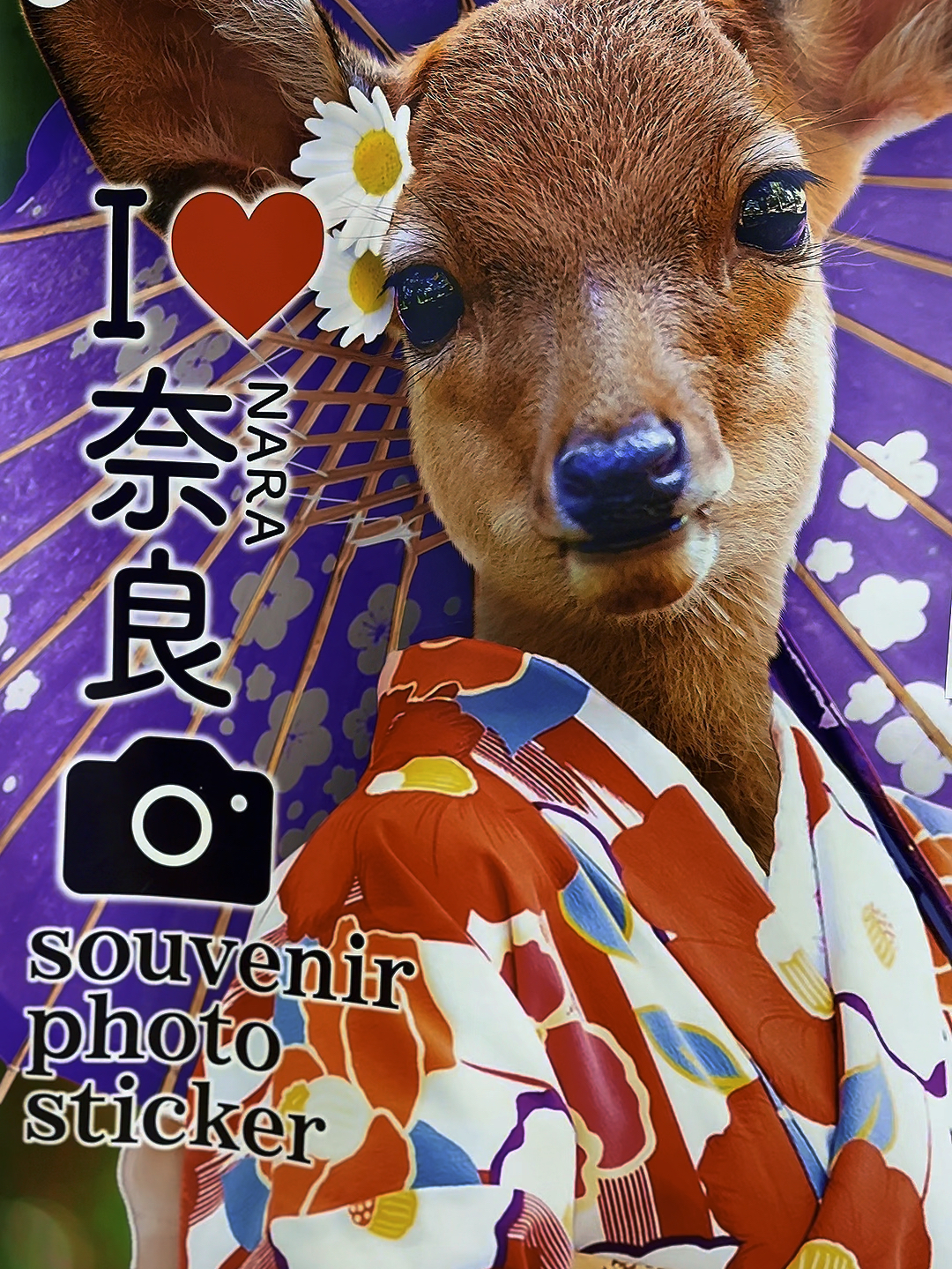 📍奈良NARA｜撸鹿自由 🦌🦌🦌