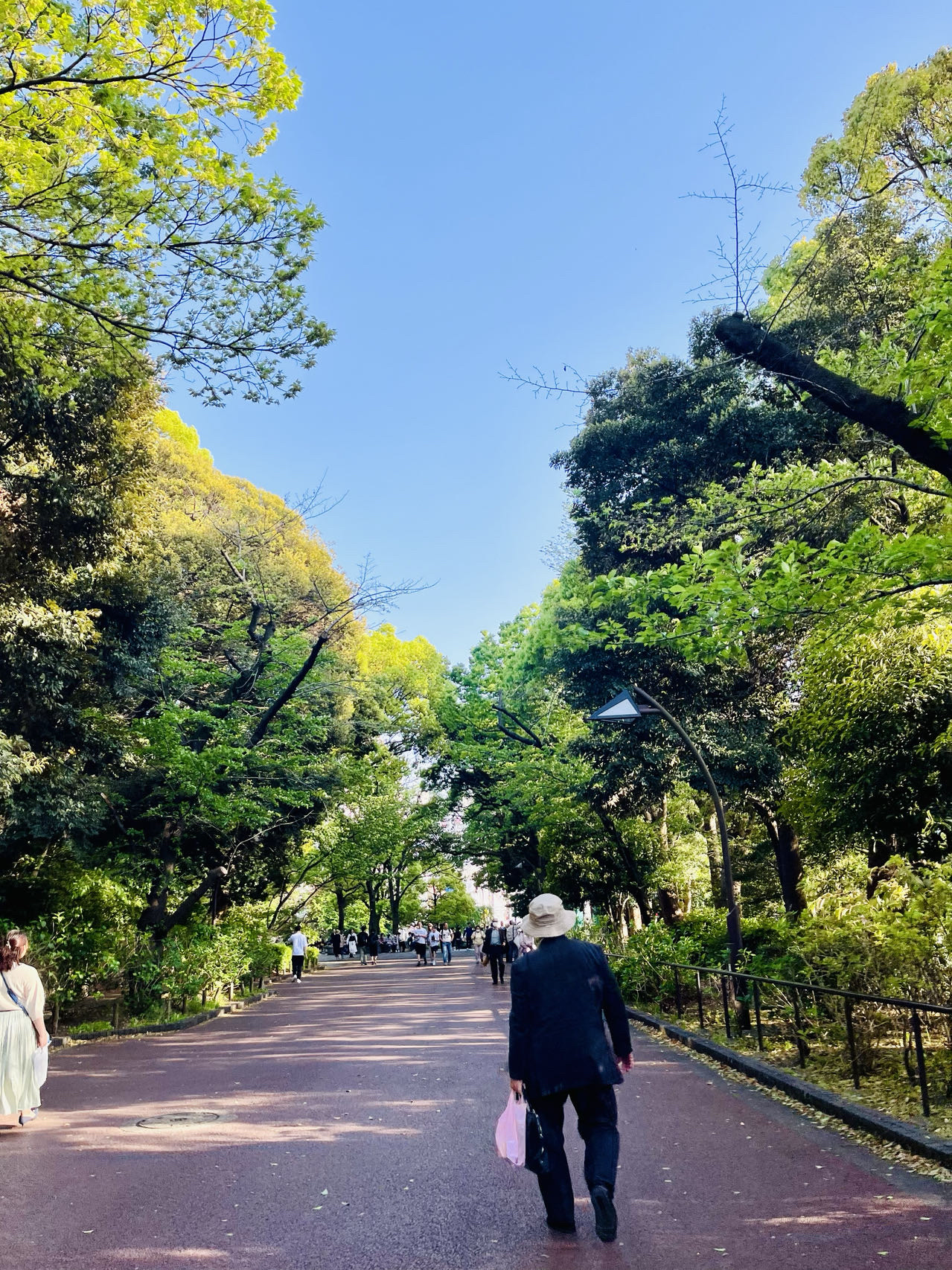 东京必打卡的公园-上野公园