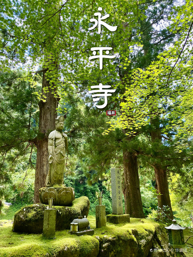 曹洞宗大本山"永平寺"上