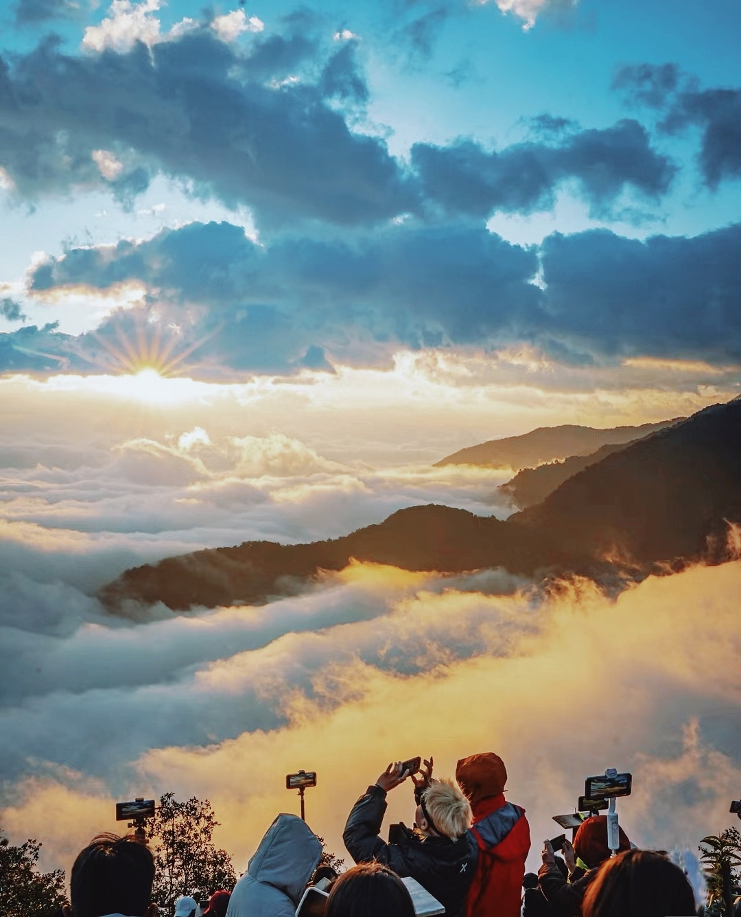 云南哀牢山：云海日出观景台的美景之旅  在中国的西南边陲，有一座被誉为“云海之乡”的山脉——哀牢山。