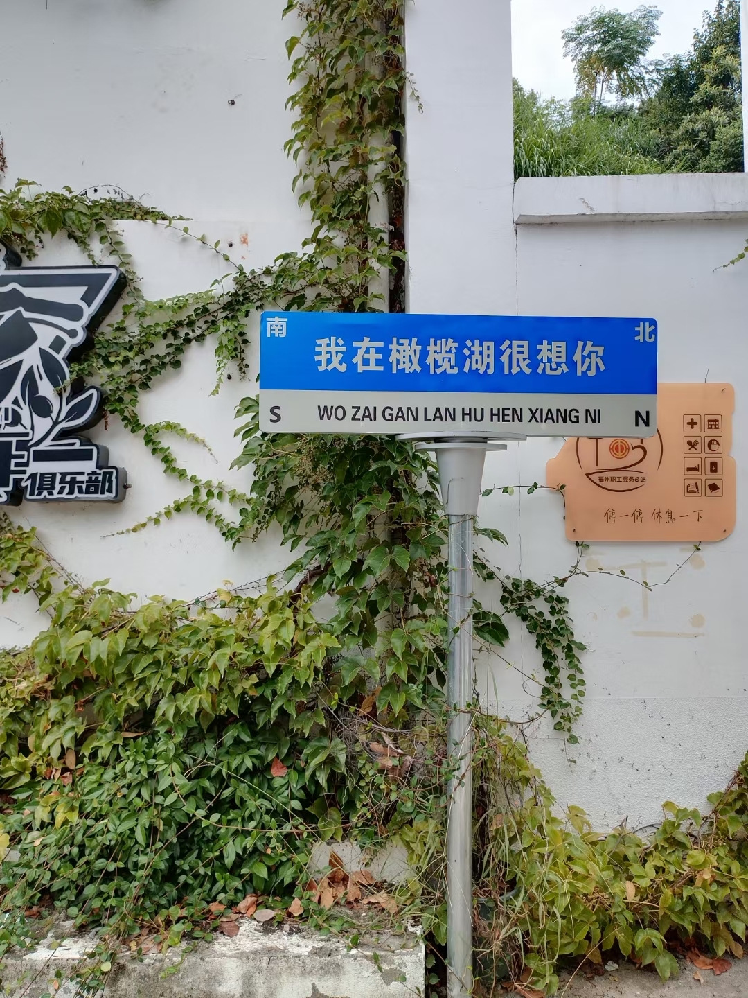 福建闽清童话小镇——橄榄湖小院🍃