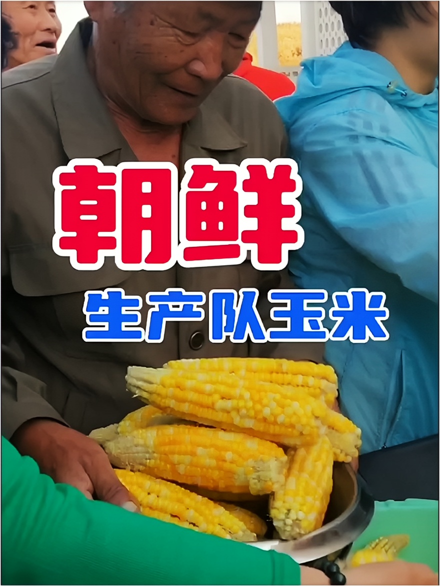 朝鲜生产队玉米