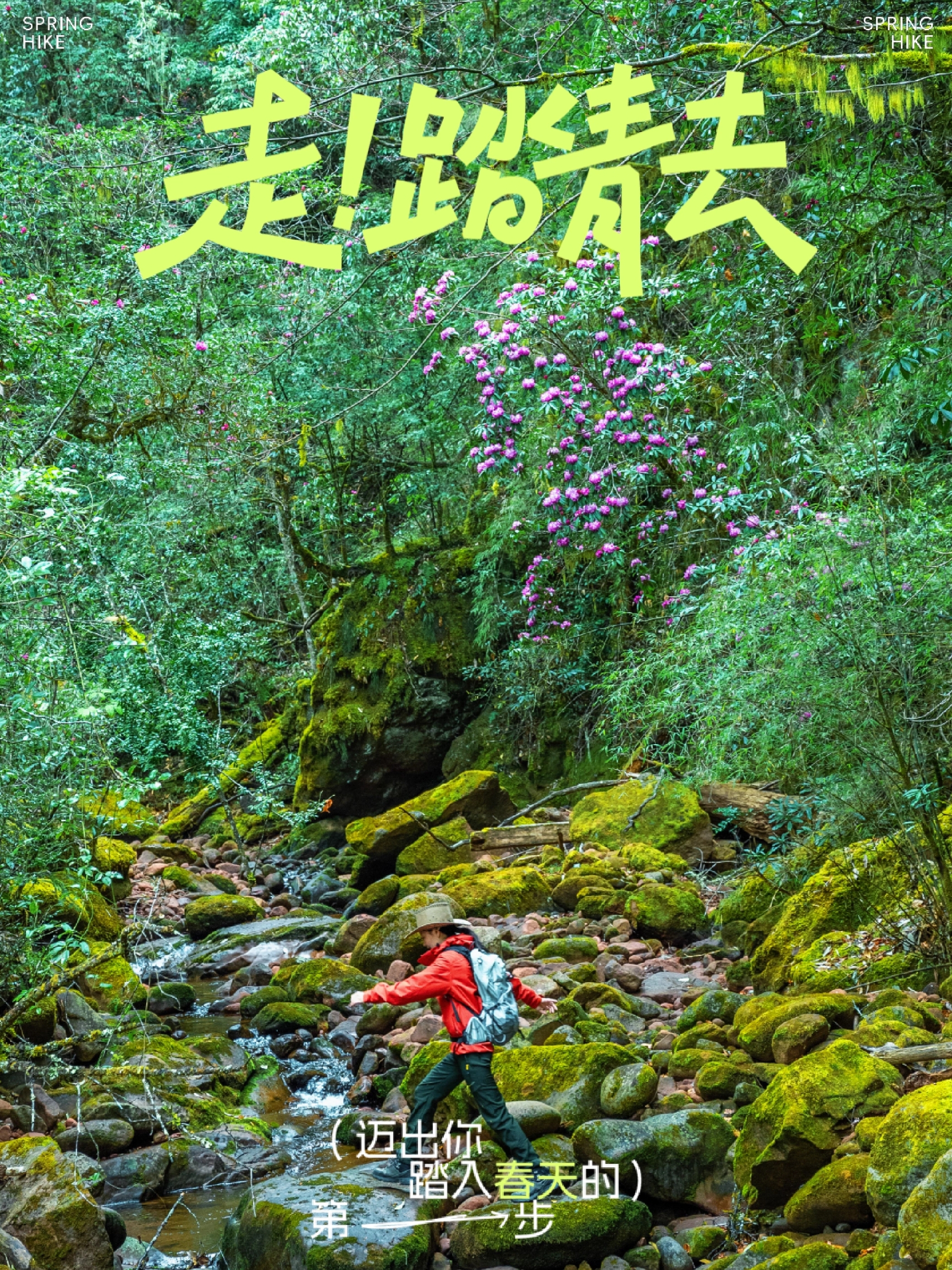 云南徒步踏青｜冲！进山⛰️呼吸新鲜空气…