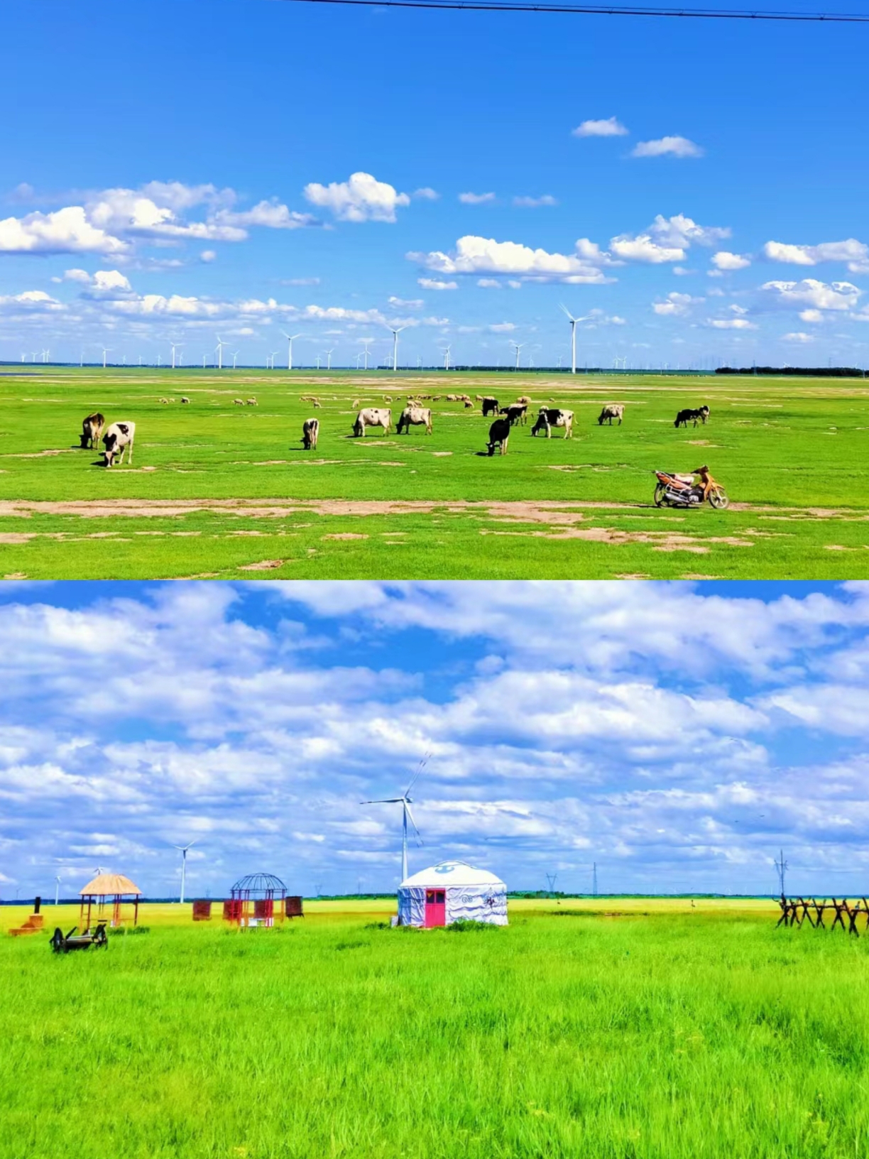 探秘距离哈尔滨最近的大草原