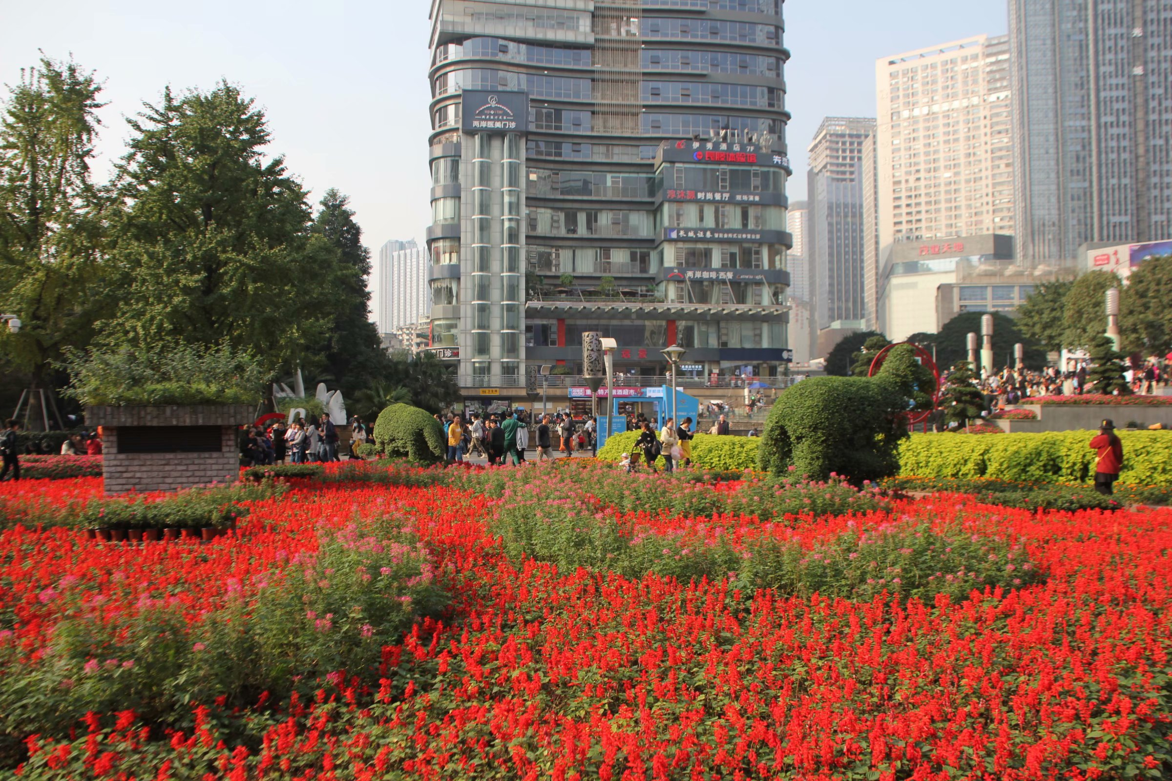 在鲜花公园中，找到了内心的宁静与平和。