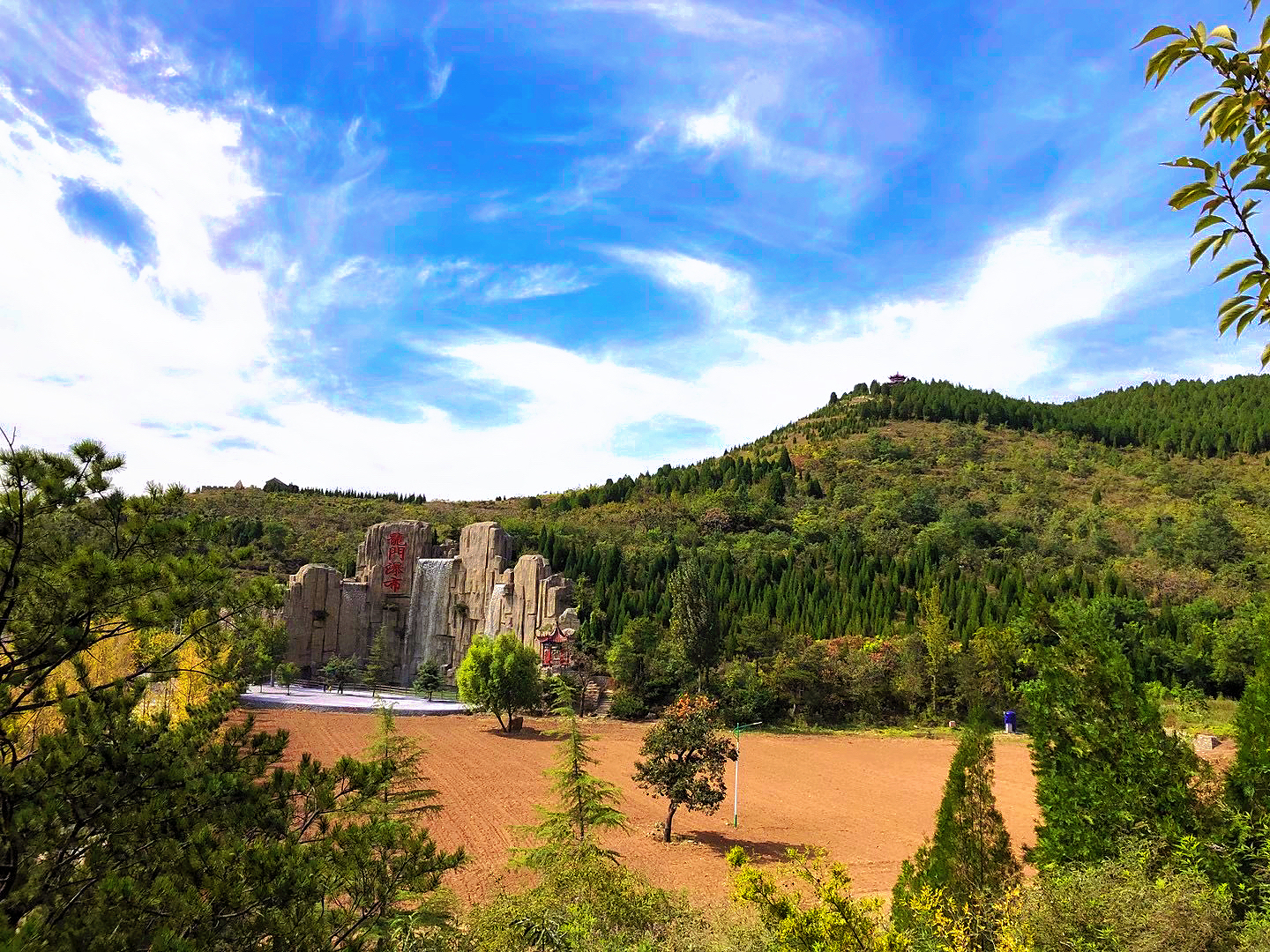 老槐树煎包(老店)