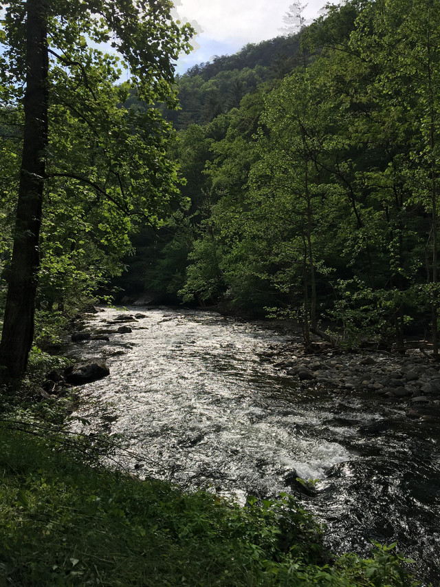 一览群山壮丽景色:大烟山国家公园