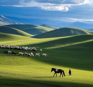 王掌柜木桶鱼(北部湾店)餐厅图片