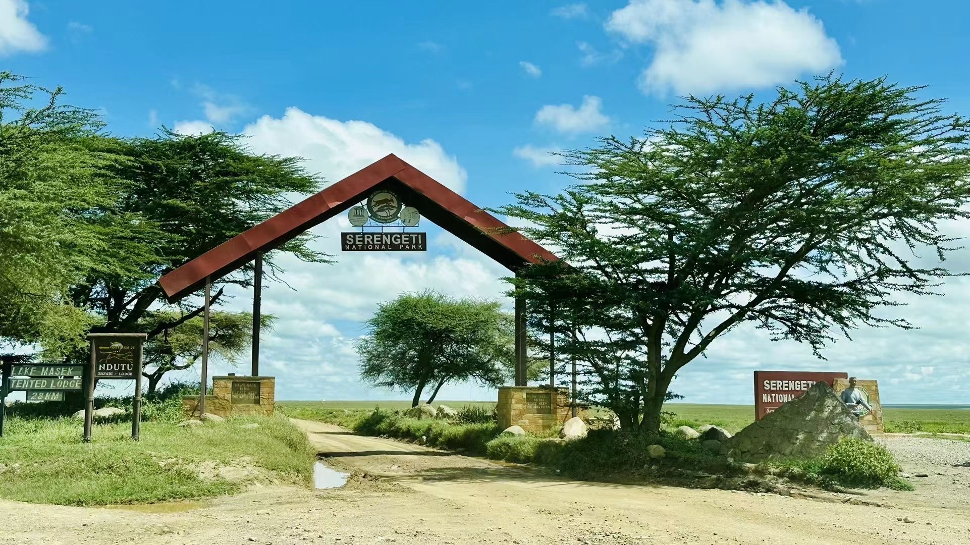 东非坦桑尼亚动物大迁徙～春天的油画世界