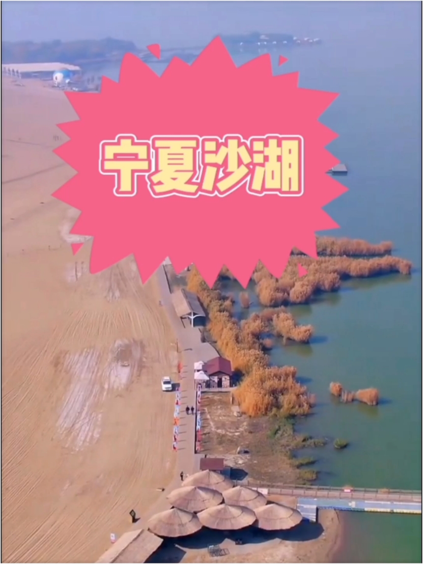 宁夏沙湖，半沙半水能相依偎，共相处！ #宁夏旅游 #宁夏沙湖 #新时代新青年新旅游
