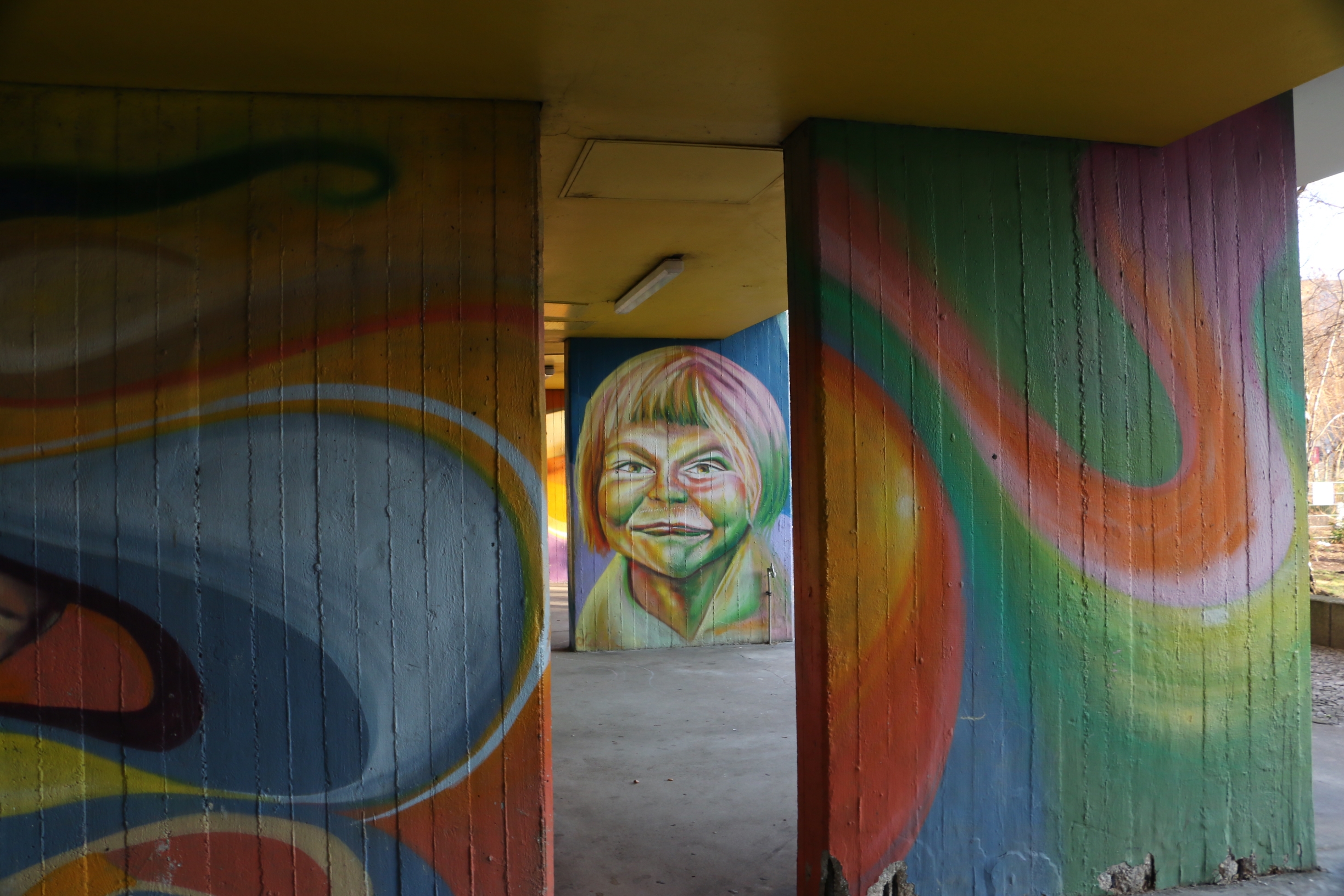 #五一旅行任意门 #旅行过家家 #跟着宫崎骏游欧洲 #春天玩点花的 #城市人文手记 在德国街头，涂鸦