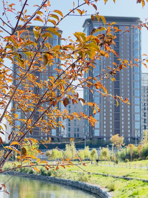 乌鲁木齐市文化公园