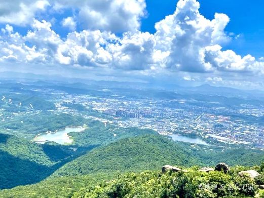 清溪森林公园