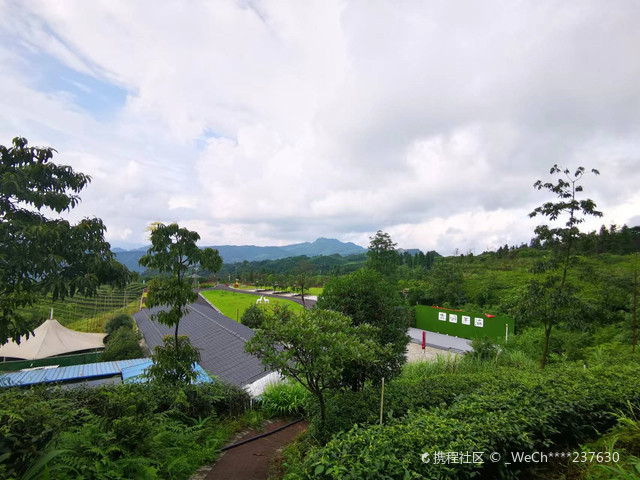 宜宾61【鹿鸣赋】诗情画意的四川永兴茶场|打卡珙县鹿鸣茶海旅游