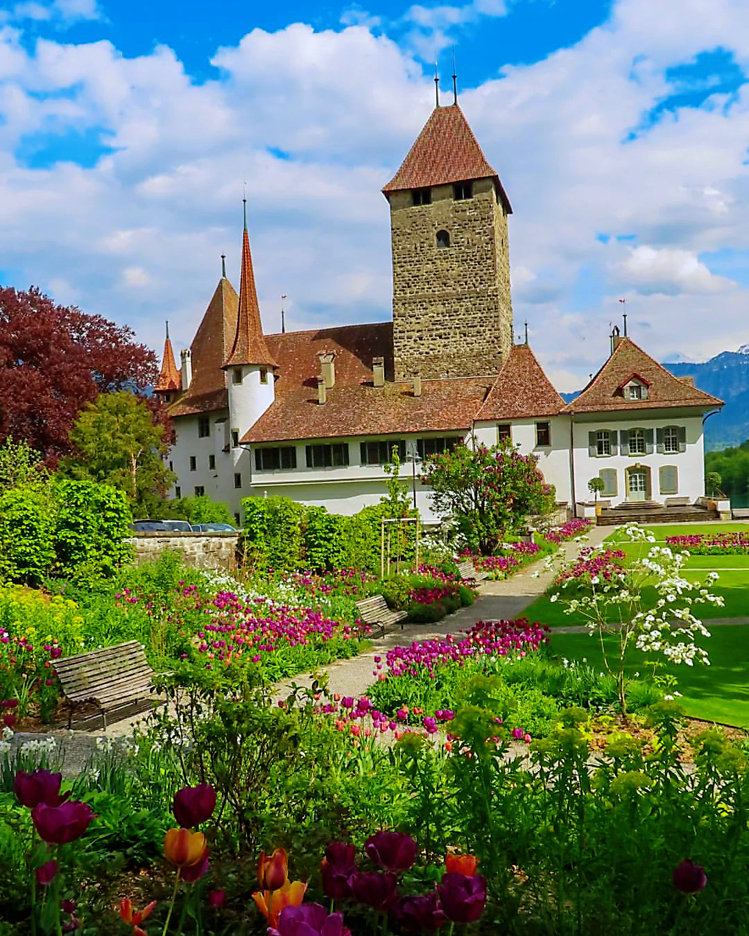 施皮茨城堡：瑞士古老的中世纪城堡