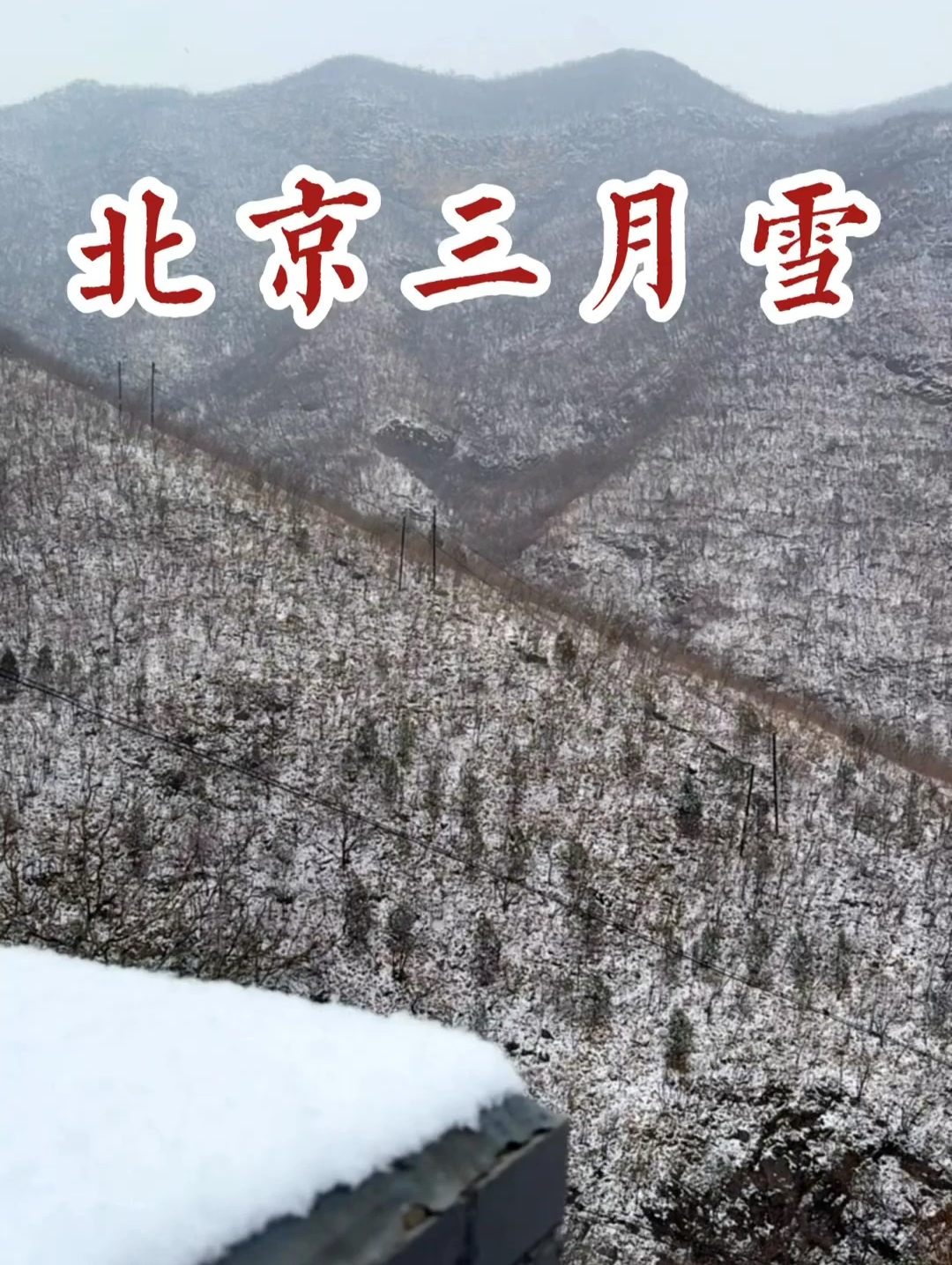 3.5北京雪景实拍