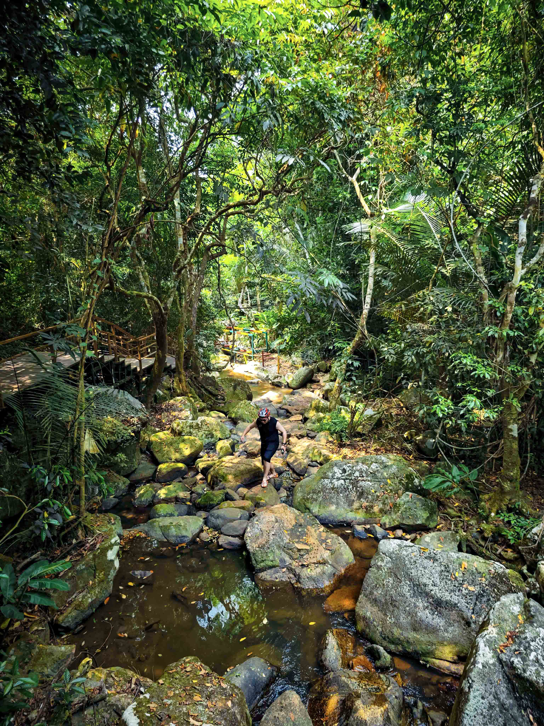 后悔没早点发现，海南的这处可以徒步的宝藏热带雨林