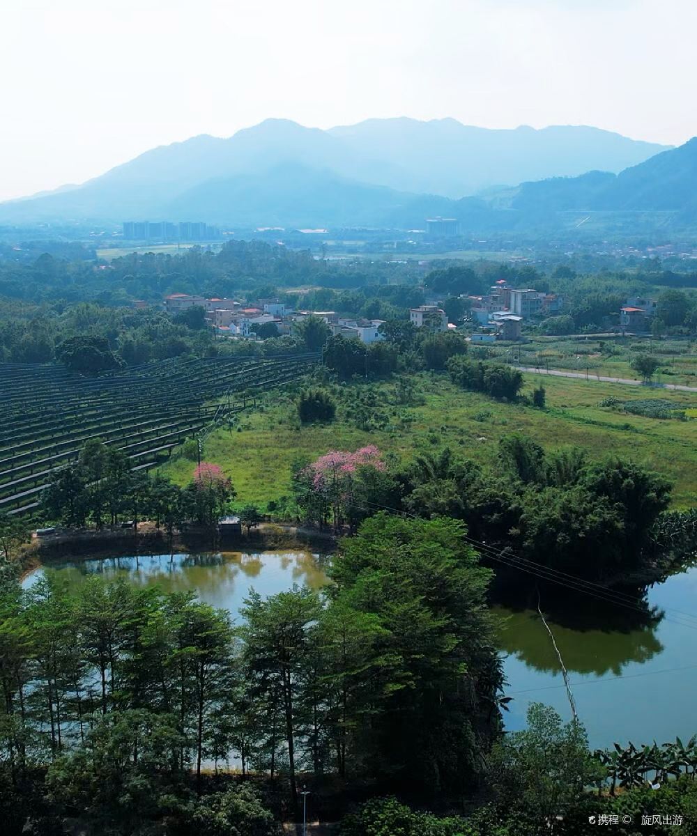 清远·远青温泉民宿图片