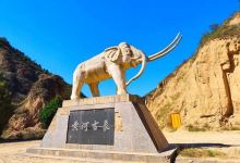 黄河古象森林公园景点图片