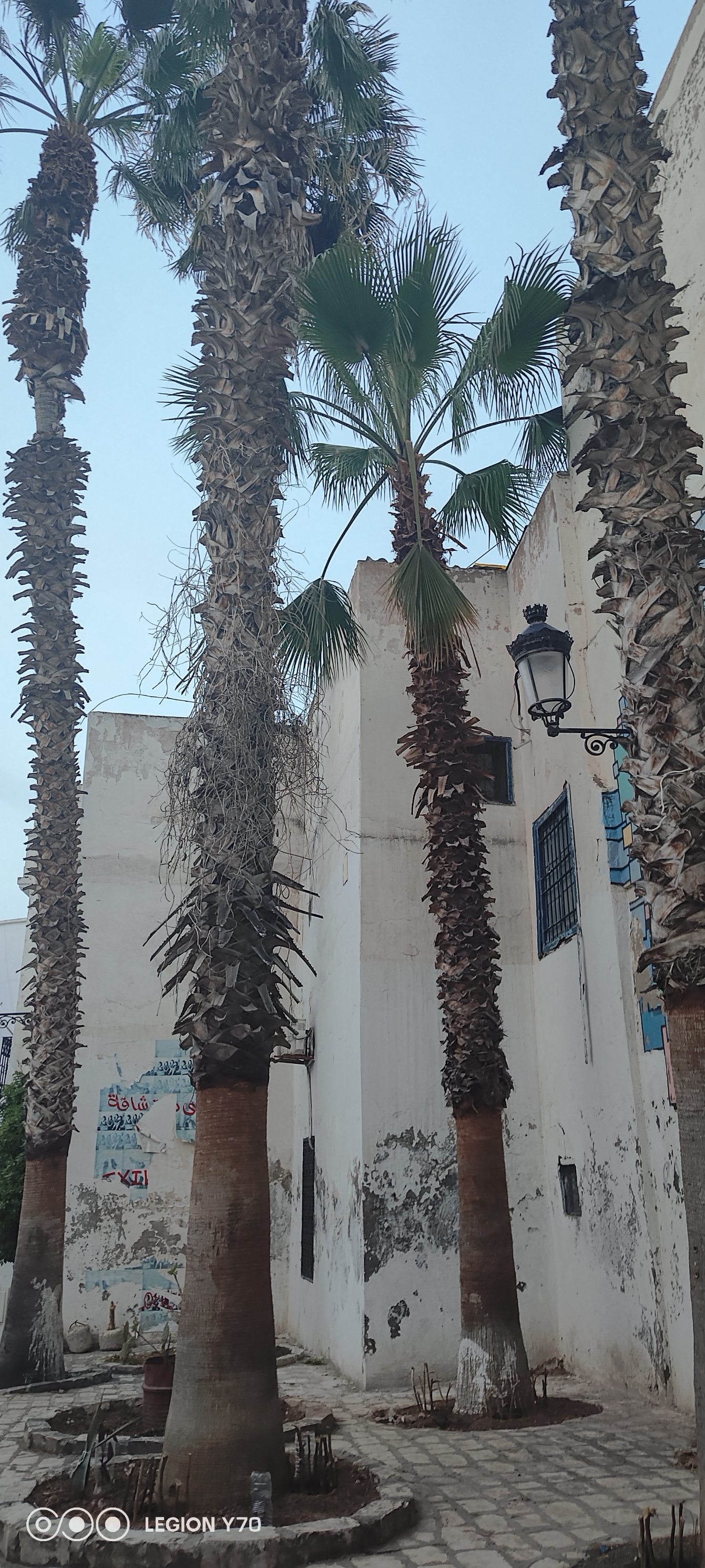 突尼斯老城区典型街巷图