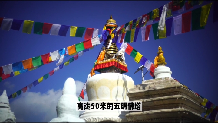 亚青寺：藏族文化体验，特色活动