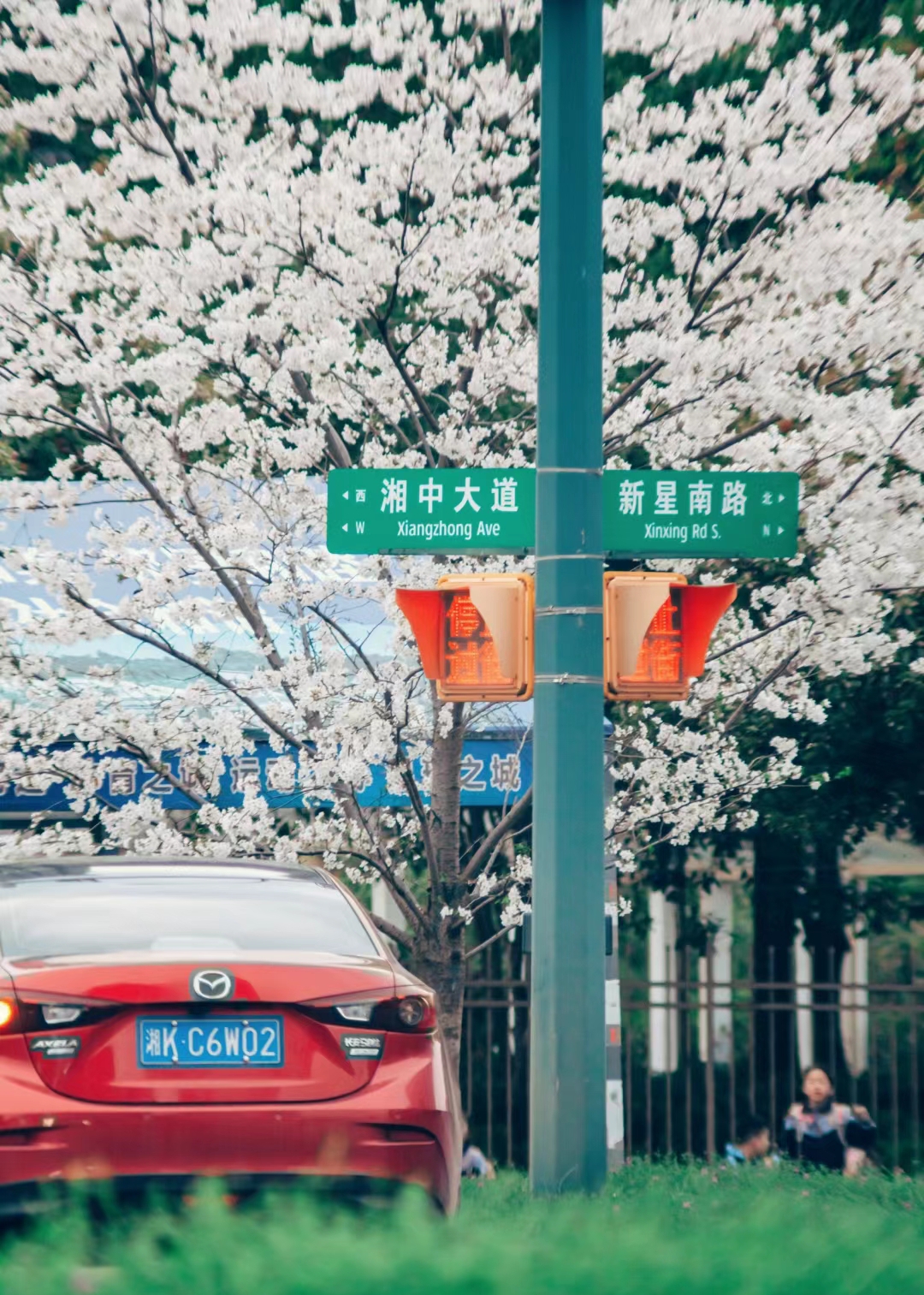 花之林人文茶馆(湘中大道店)餐厅图片