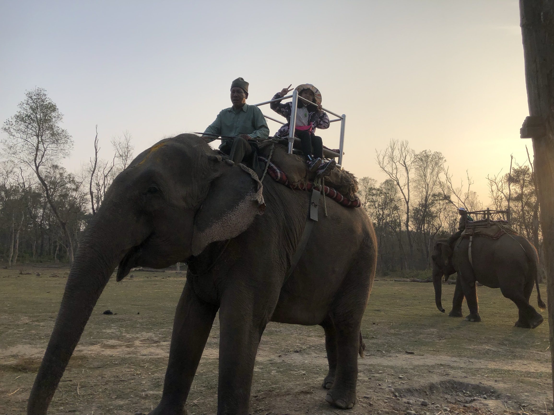 尼泊尔齐德旺国家公园，大象慢慢走着，大家开心的不得了。