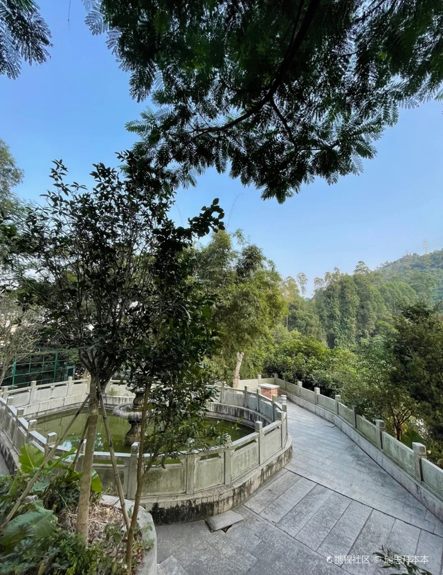 探索珠海南屏观音庙:历史悠久的道教圣地!