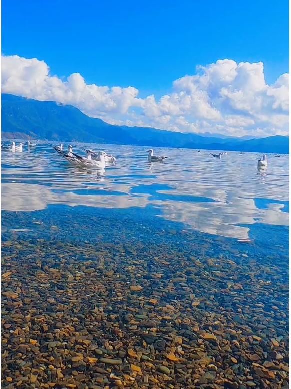 最美泸沽湖 水天一色