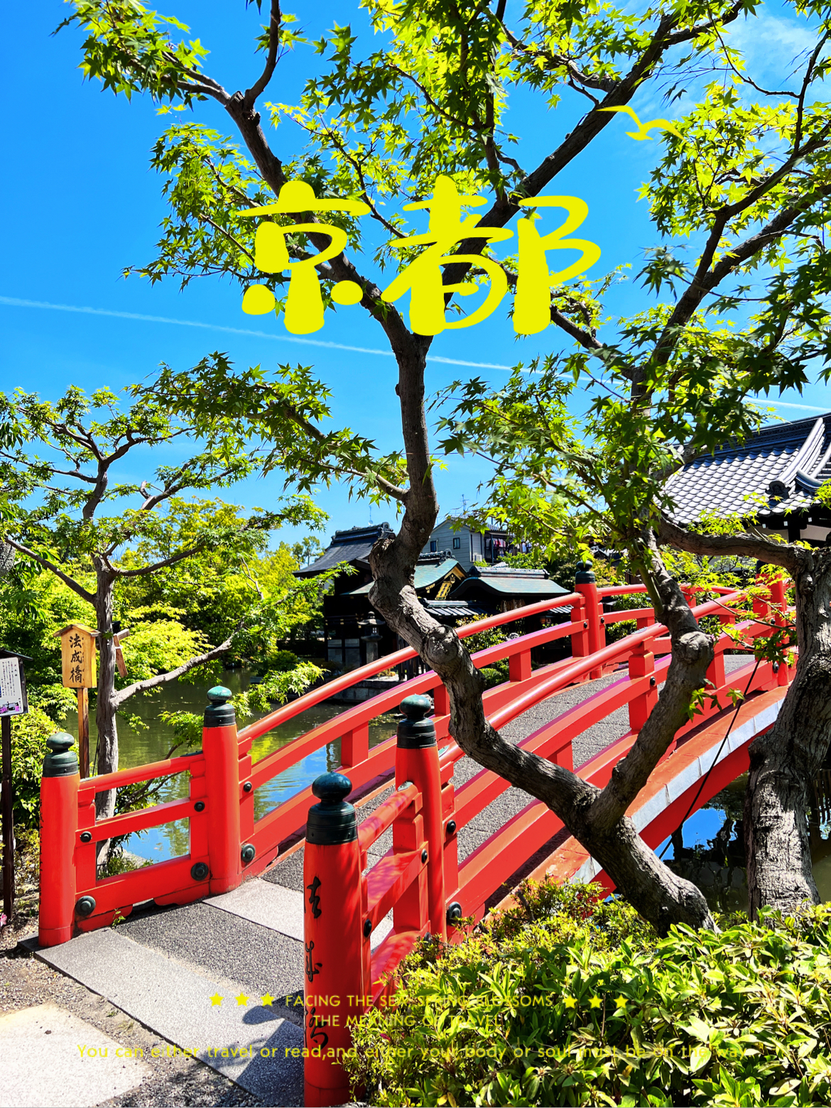 春日旅途🌳｜🇯🇵京都必去的私藏徒步路线❗️❗️