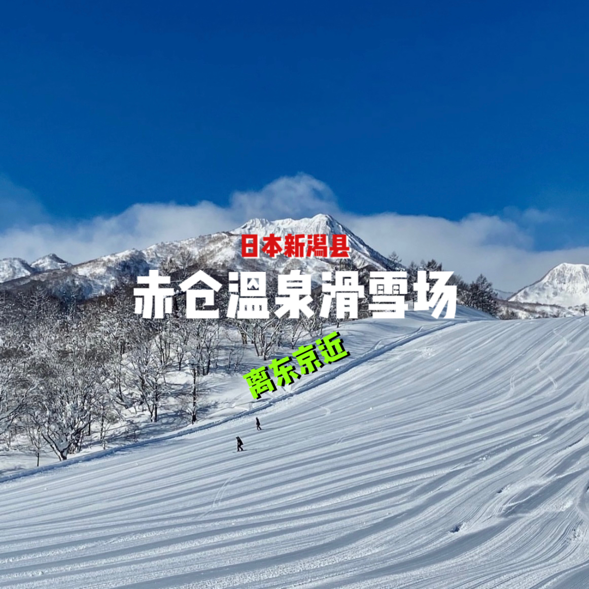 【日本滑雪】新潟县NIIGATA赤仓温泉滑雪场