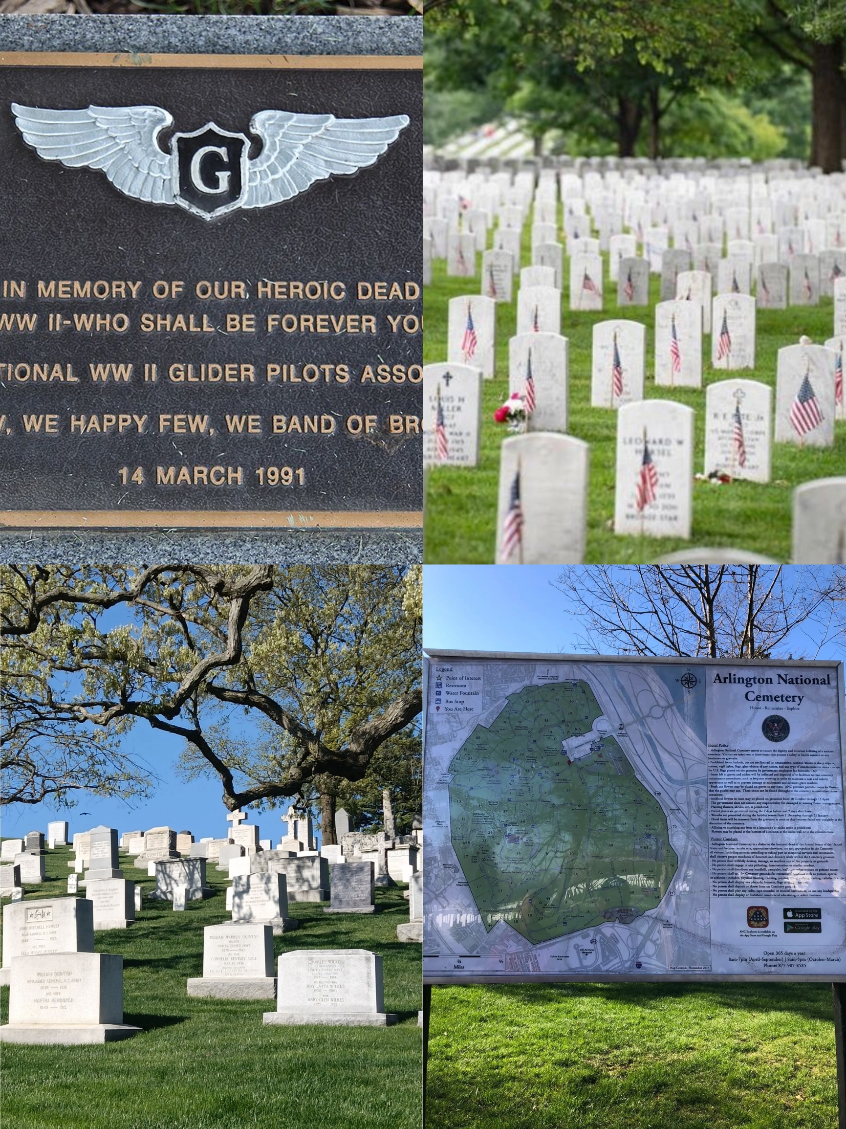 🇺🇸美国•华盛顿 | 阿灵顿国家公墓✨生命和历史的印记