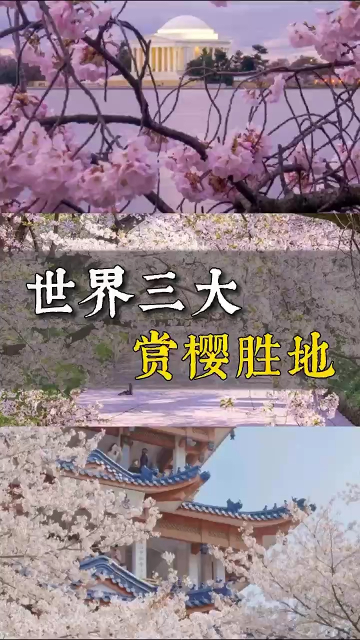 世界三大赏樱花圣地