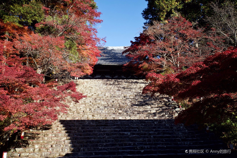 京都红叶| 让人目眩神迷的神户寺
