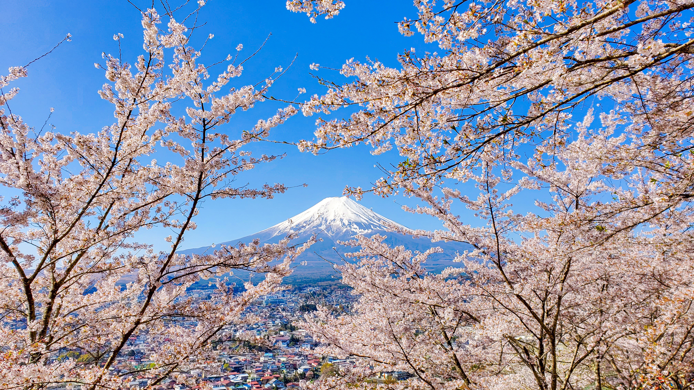 日本富士山五合目的详细旅游介绍🗻