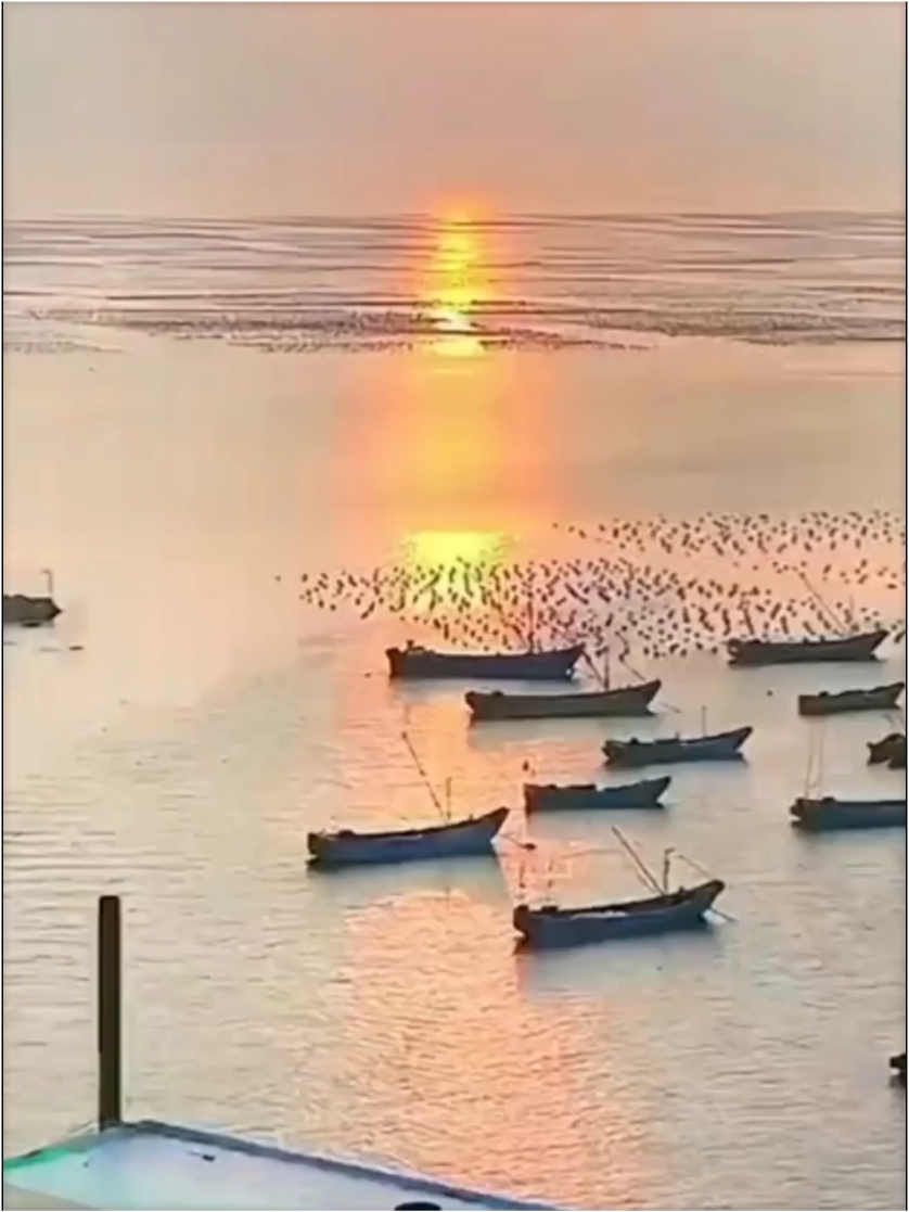 舟山海景房3天2晚+自助晚餐+午餐或晚餐，仅需600多