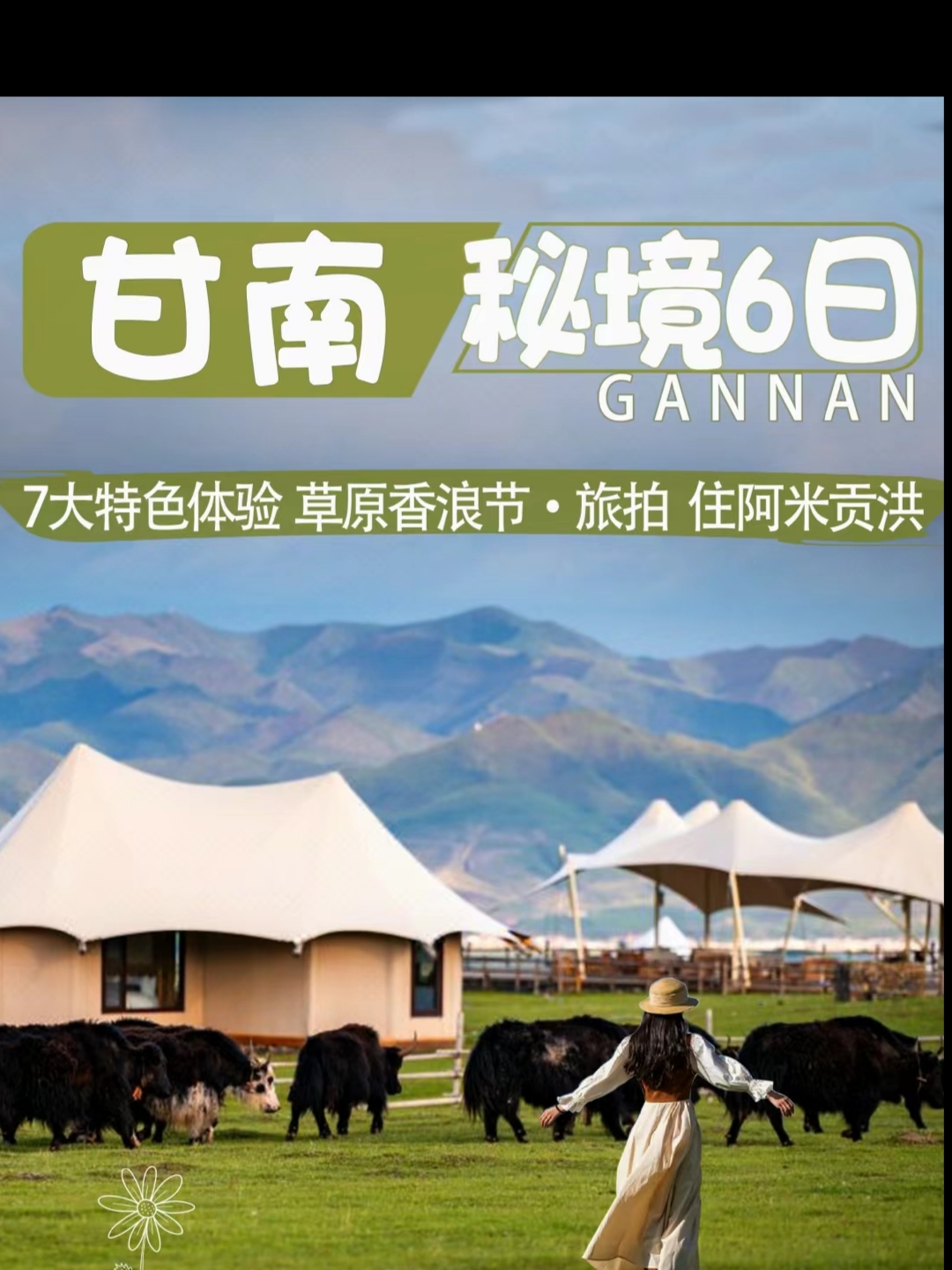 6天去甘南撒欢体验藏民游牧＆住阿米贡洪 五一期间，将迎来甘南最美出游季节如果这辈子去一次甘南，我敢说