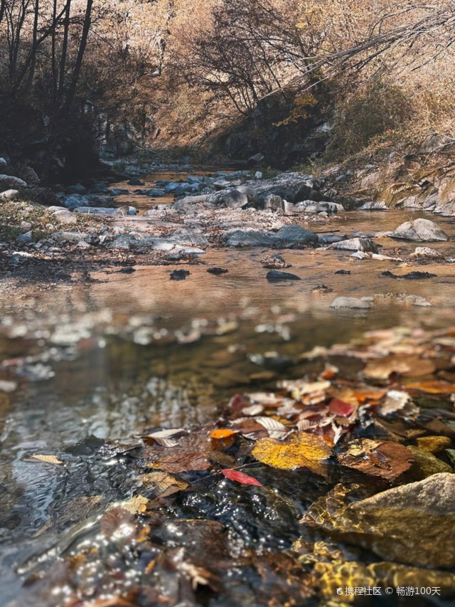 超强攻略_玩转清原抚顺玉龙溪原始森林公园之行